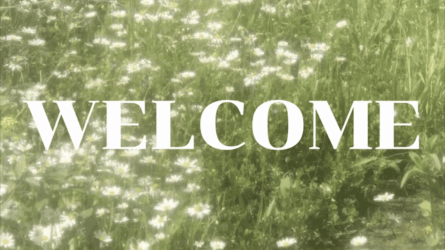 a field of daisies with the word welcome in white