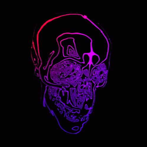 Skull Neon GIF - Skull Neon Lights GIFs