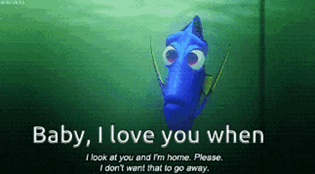 dory from the movie finding nemo says " baby i love you when i look at you and i 'm home please
