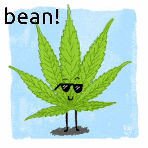 a cartoon drawing of a marijuana leaf wearing sunglasses and the words bean
