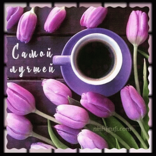 кофе тюльпаны GIF - кофе тюльпаны цветы GIFs