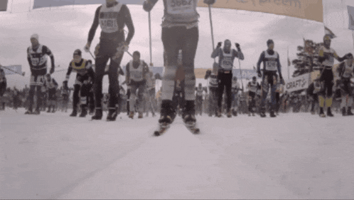 a group of skiers including one with the number 5961 on their shirt