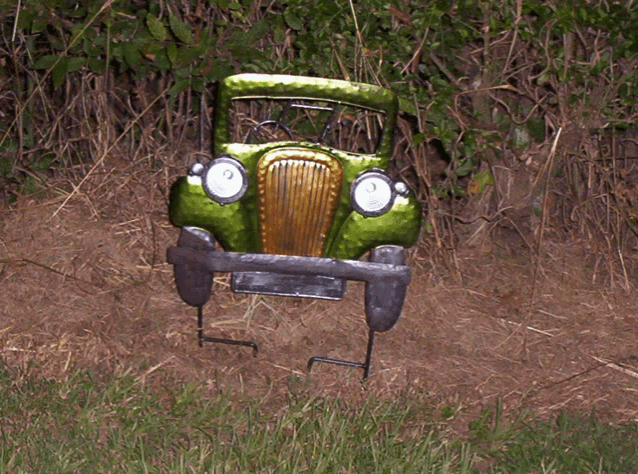 a green car with gold trim sits in the grass near a bush