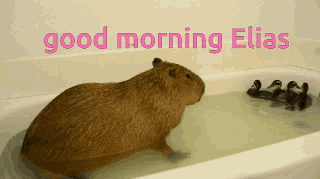 Elias Good Morning GIF - Elias Good Morning GIFs