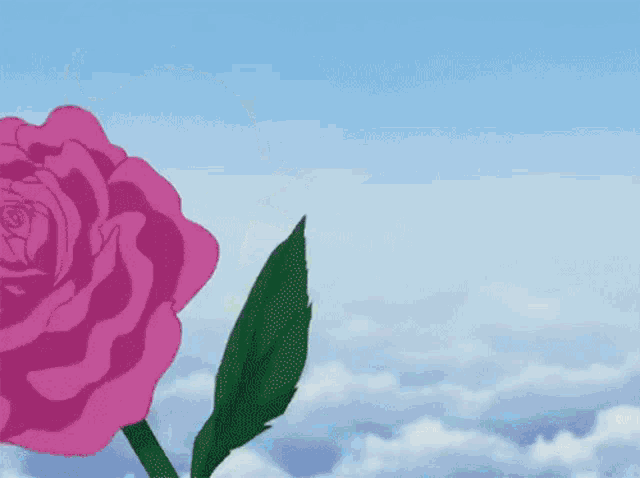 a large pink rose with a green leaf against a blue sky
