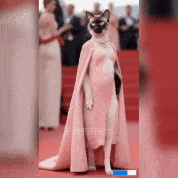 a cat wearing a pink cape and a pearl necklace on a red carpet