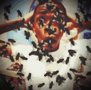 a painting of a man surrounded by flies on his face