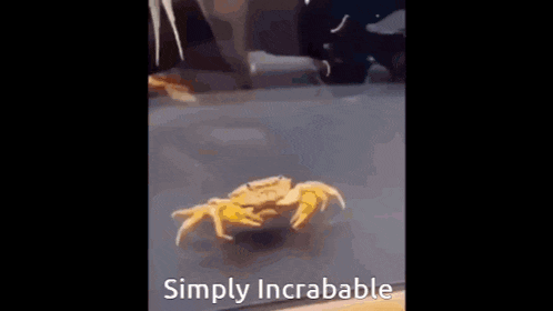 a crab and a turtle are swimming in a tank with the words simply incredible above them