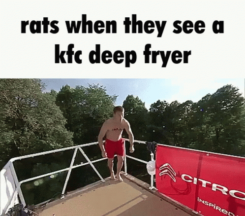 Rats When They See A Kfc Deep Fryer Rats GIF - Rats When They See A Kfc Deep Fryer Rats Milkshake GIFs