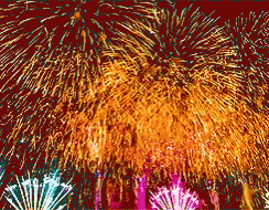 Firecracker Diwali GIF - Firecracker Diwali GIFs