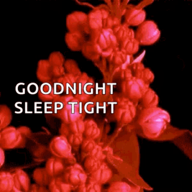 a bunch of red flowers with the words goodnight sleep tight below them