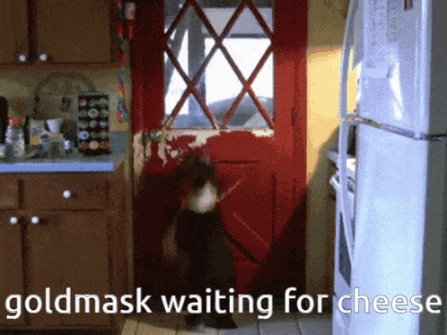 a dog standing in front of a red door with the words " goldmask waiting for cheese " on the bottom
