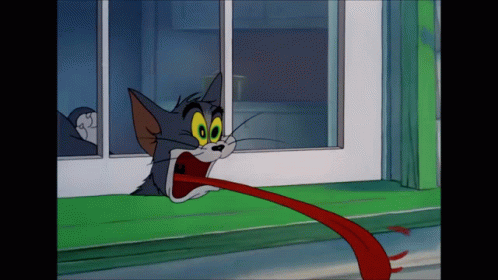 Leuleu Tom GIF - Leuleu Tom Tom Jerry GIFs