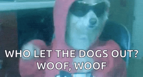 Party Dog GIF
