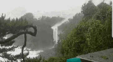 a waterfall is surrounded by trees in a foggy day