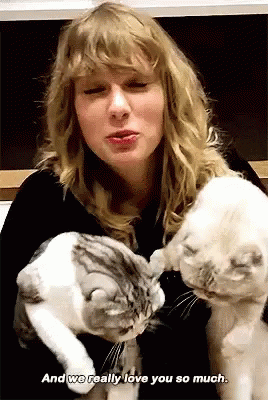Taylor Swift Cat GIF - Taylor Swift Cat Cats GIFs