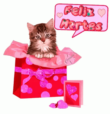 Kitten Feliz Martes GIF - Kitten Feliz Martes GIFs