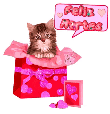 a kitten is sitting in a pink gift box with a feliz martes speech bubble above it