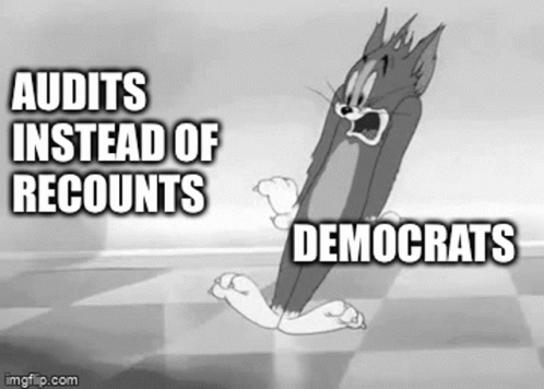 Election Fraud GIF - Election Fraud Audit GIFs