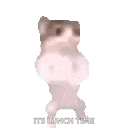 a cat is running and waving its paw .