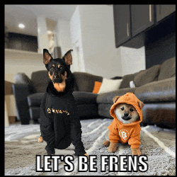 two dogs standing next to each other with the words let 's be frens below them