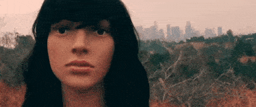 a mannequin with a city in the background is standing in a field .