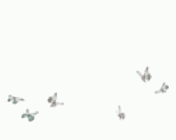 a bunch of butterflies are flying in a circle on a white background