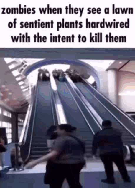 zombies when they see a lawn of sentient plants hardwired with the intent to kill them on an escalator