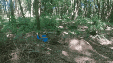 a person in a blue shirt is laying on the ground in the woods holding a barbell