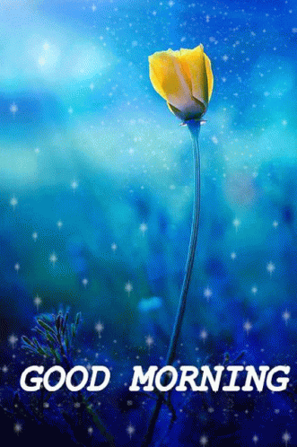 Good Morning Flower GIF - Good Morning Flower Bloom GIFs