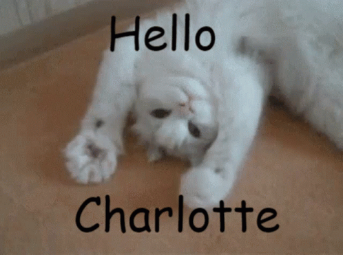 Hello Charlotte GIF - Hello Charlotte GIFs