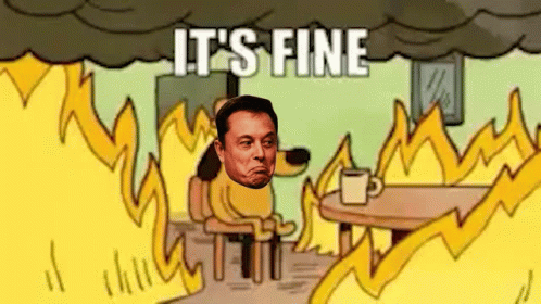 Elon Musk Twitter GIF - Elon Musk Twitter Elon GIFs