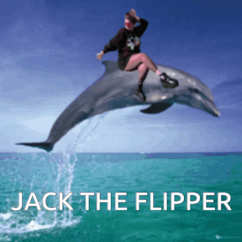 Jamilax Dolphin GIF - Jamilax Dolphin Jack GIFs