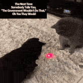 two cats are playing with a laser toy on the floor .
