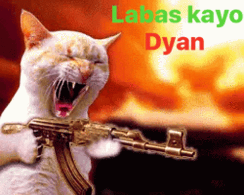 Cat Labas Kayo Dyan GIF - Cat Labas Kayo Dyan Angry GIFs