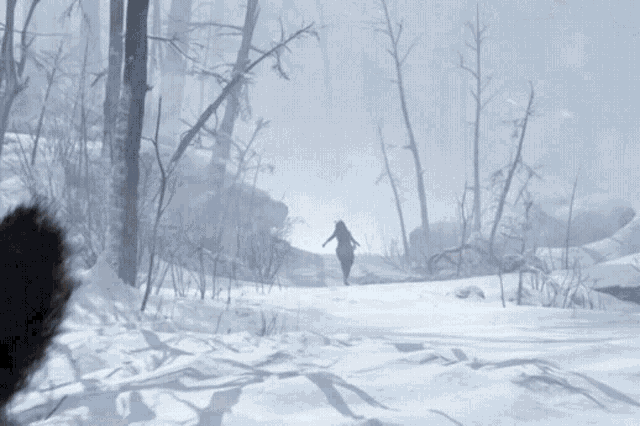 a snowy forest with trees and rocks and a glowing object in the middle