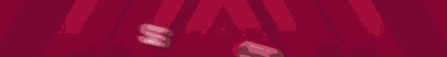 a red background with the word scarline in white letters