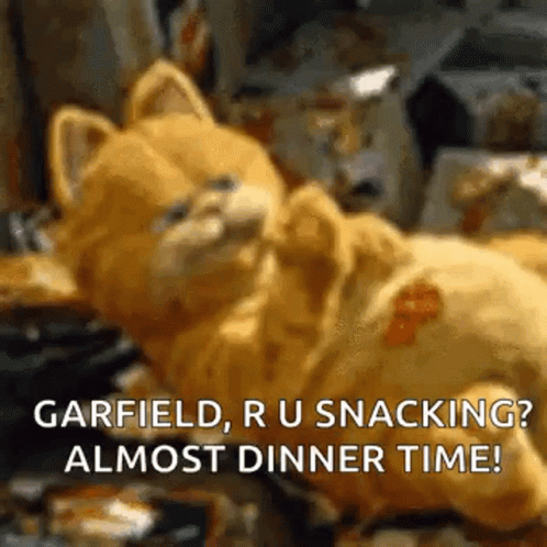 Garfield Are You Snacking GIF
