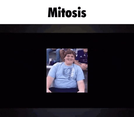 a picture of a group of people sitting in a stadium with the word mitosis .