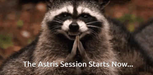 a picture of a raccoon with the words " the astrid session starts now " below it