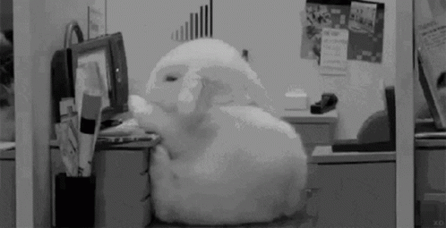 Lazy Bunny Tired Of Work GIF - Lazy Bunny Tired Of Work GIFs