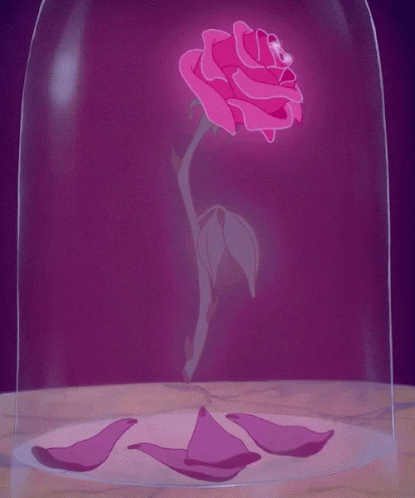 Beauty And The Beast Rose GIF - Beauty And The Beast Rose GIFs