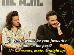 One Direction 1d GIF - One Direction 1d GIFs