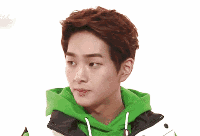 a young man wearing a green hoodie looks to his left