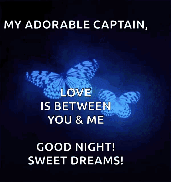 a poster that says my adorable captain love is between you and me good night sweet dreams