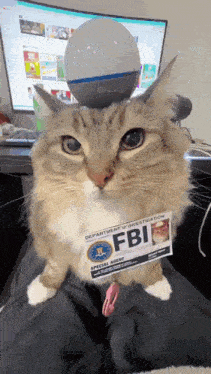 a fluffy cat with a fbi badge on its chest