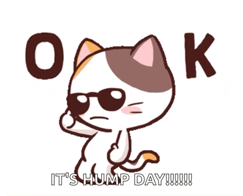 a cartoon cat is wearing sunglasses and says " it 's hump day "