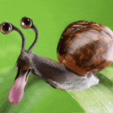 a snail with a long tongue sticking out of its mouth