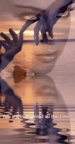 Love Relationship GIF - Love Relationship Couples GIFs