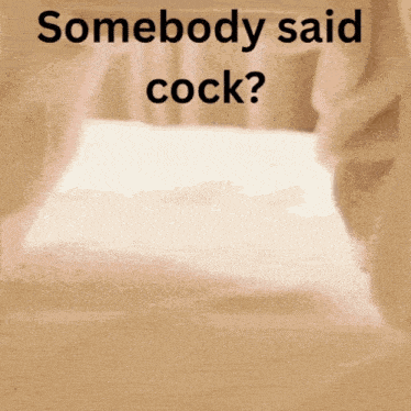 a brown background with the words somebody said cock written on it